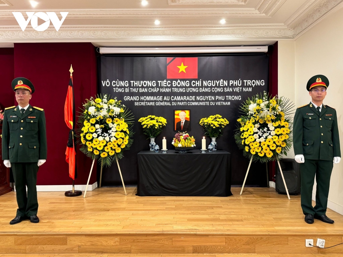 Vietnamese embassies abroad hold solemn respect-paying services for Party chief